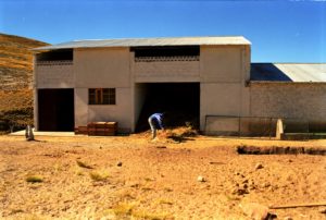 agro_zootecnico_2-bolblasserief_0704