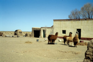 agro_zootecnico_md_bol_517